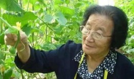 瓜瓜吃瓜ppt图片 黑料,揭秘娱乐圈黑料背后的真相